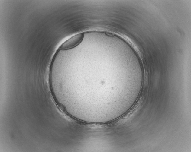 X0000115780862200912041450