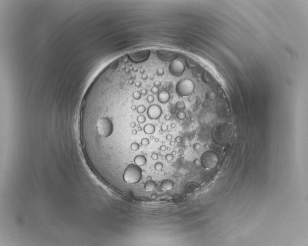 X0000115780863200912041450