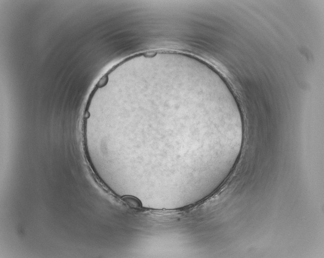 X0000115780864200912041450