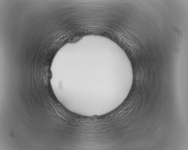 X0000115780868200912041449