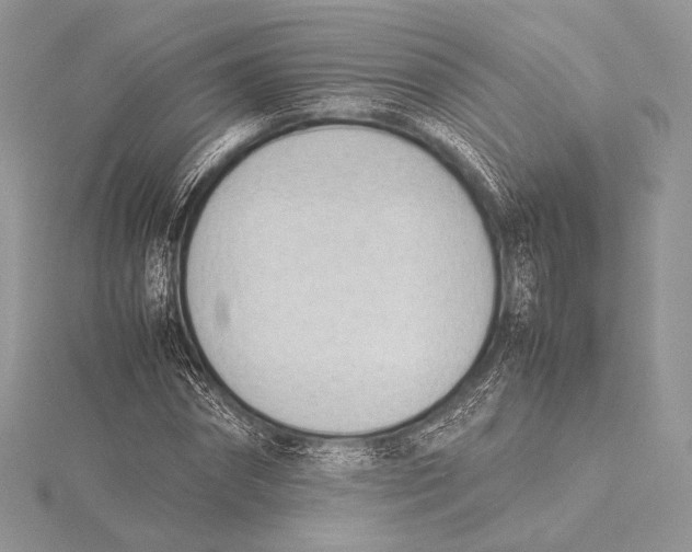 X0000115780874200912041449