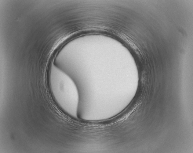 X0000115780877200912041449