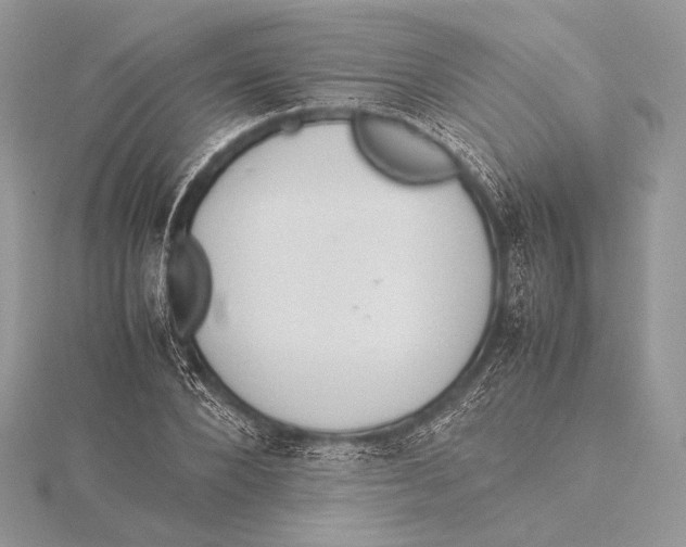 X0000115780880200912041449