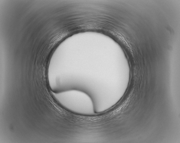 X0000115780881200912041449