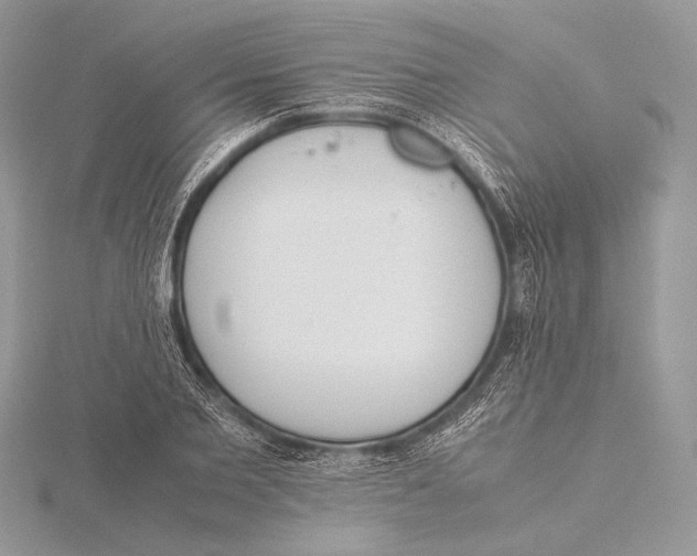 X0000115780885200912041449