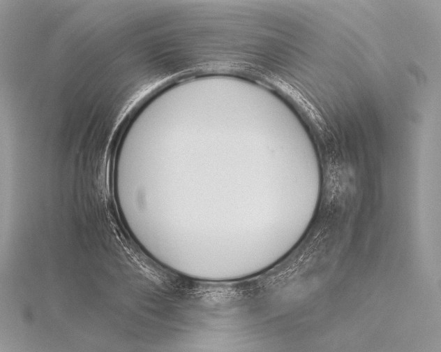 X0000115780886200912041449