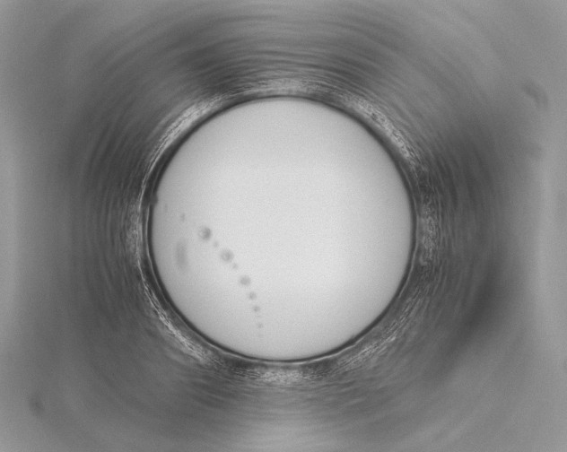 X0000115780890200912041449