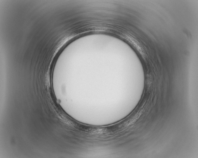 X0000115780891200912041449