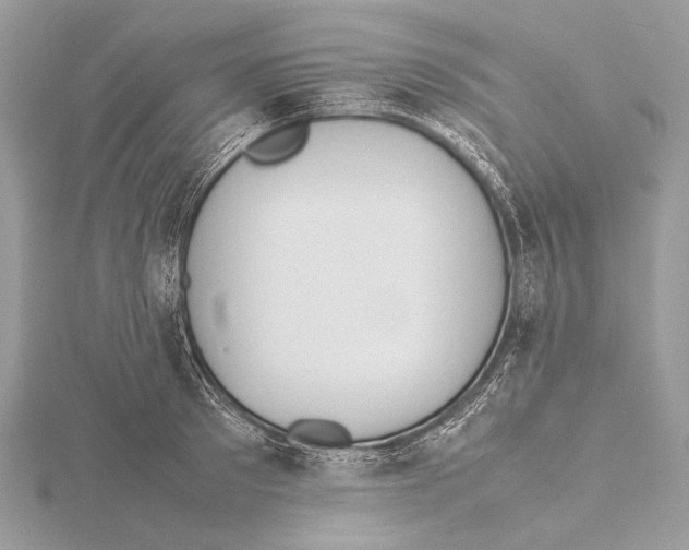 X0000115780897200912041449