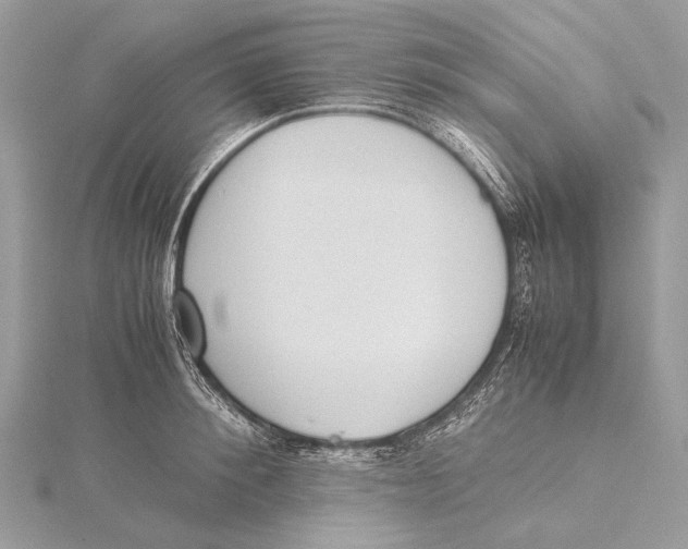 X0000115780900200912041449