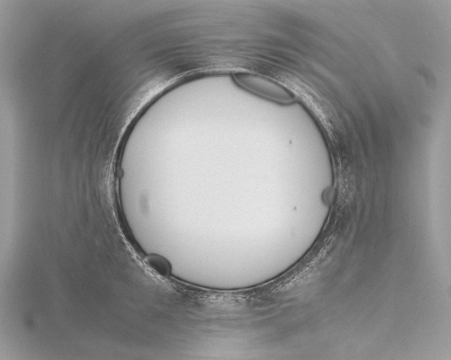 X0000115780901200912041449