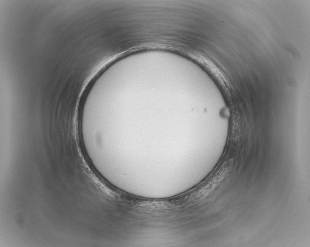 X0000115780902200912041449