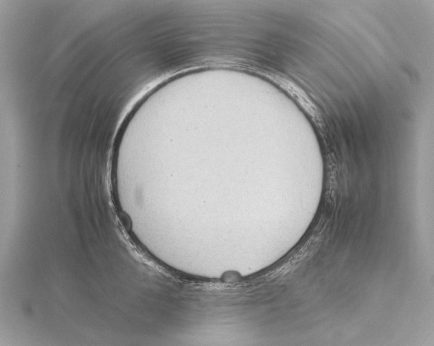 X0000115780904200912041449