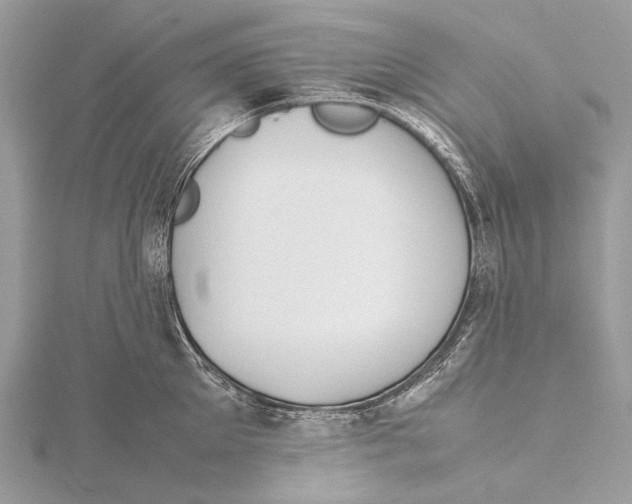 X0000115780905200912041449