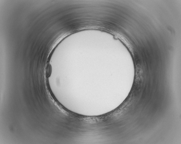 X0000115780906200912041449