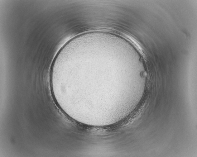 X0000115780907200912041449