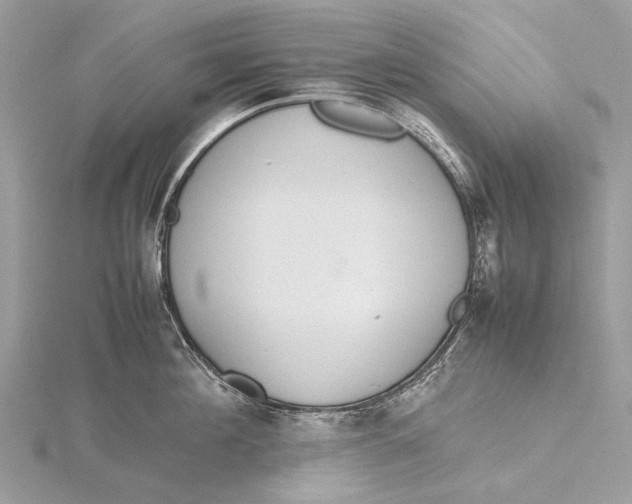 X0000115780908200912041449