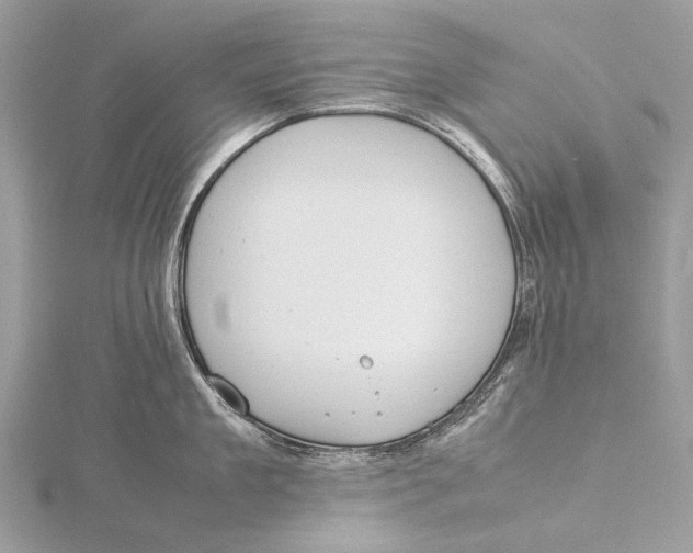 X0000115780909200912041449