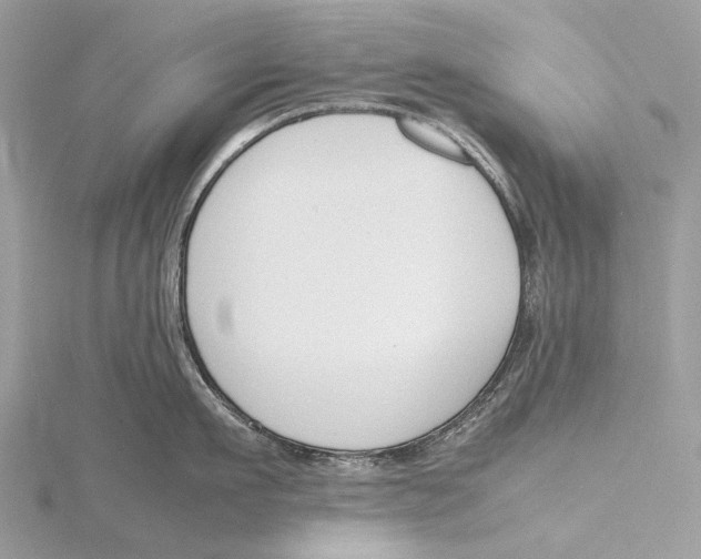 X0000115780911200912041449