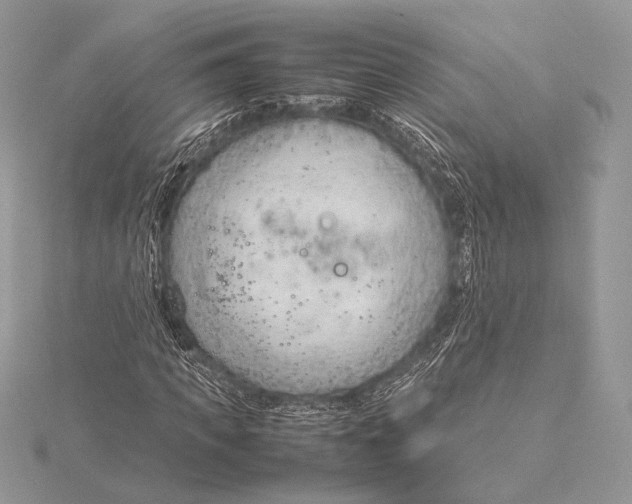 X0000115780917200912041448