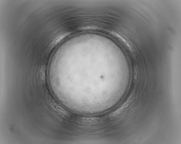 X0000115780921200912041448