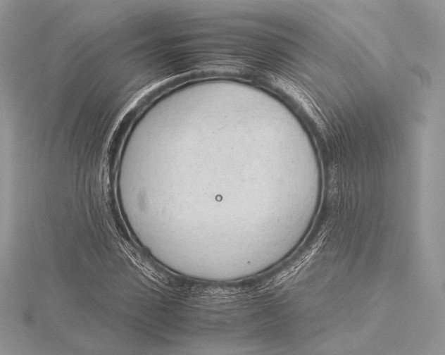 X0000115780923200912041448