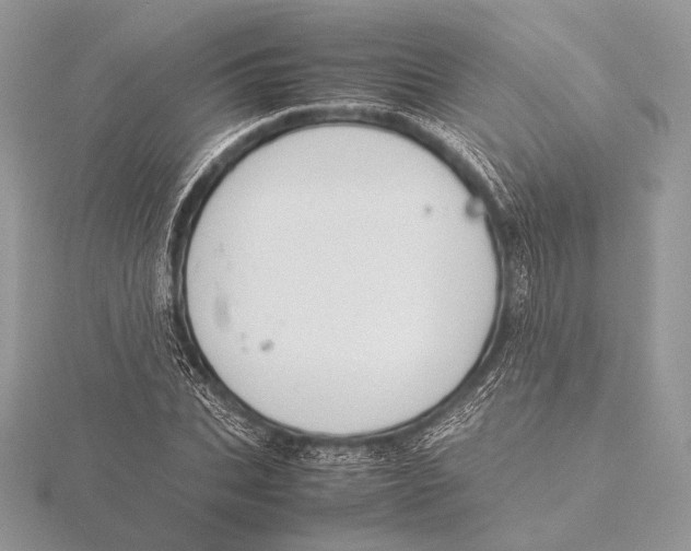 X0000115780927200912041448