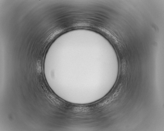 X0000115780929200912041448