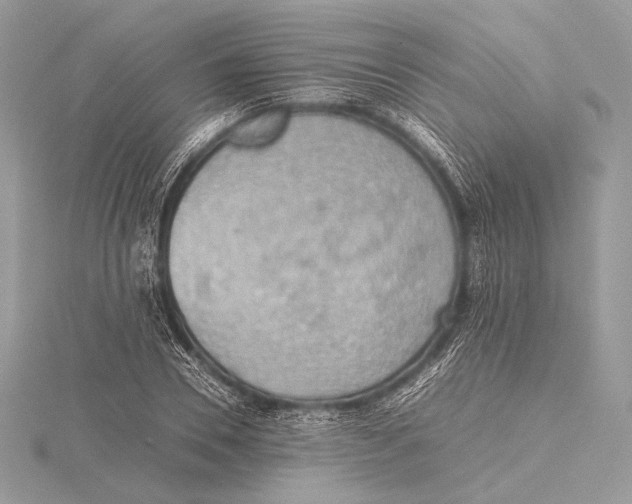 X0000115780930200912041448