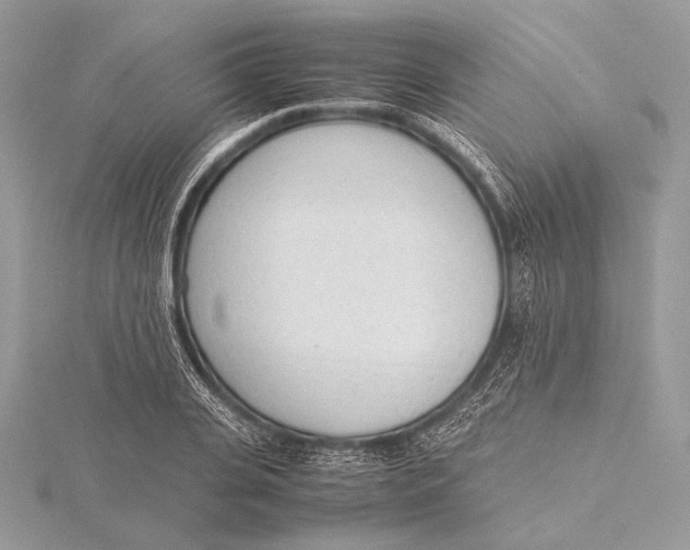 X0000115780935200912041448