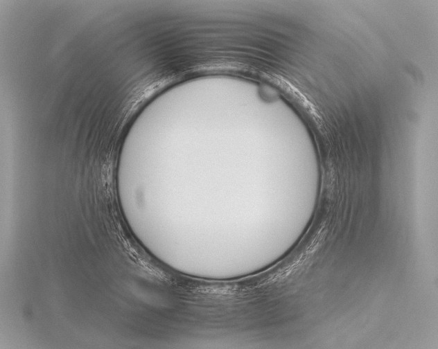 X0000115780937200912041448