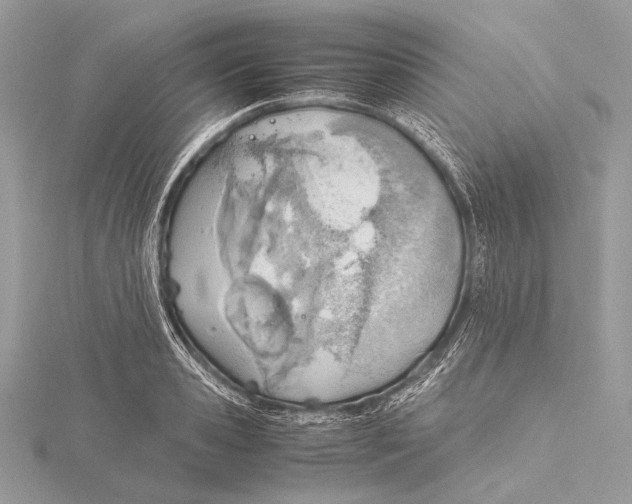 X0000115780941200912041448