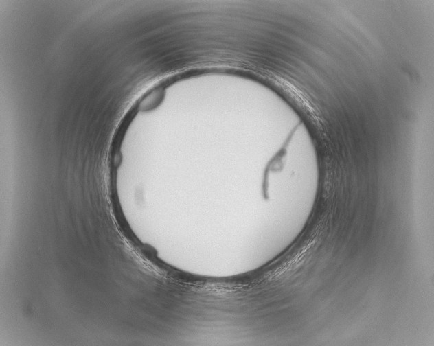 X0000115780942200912041448