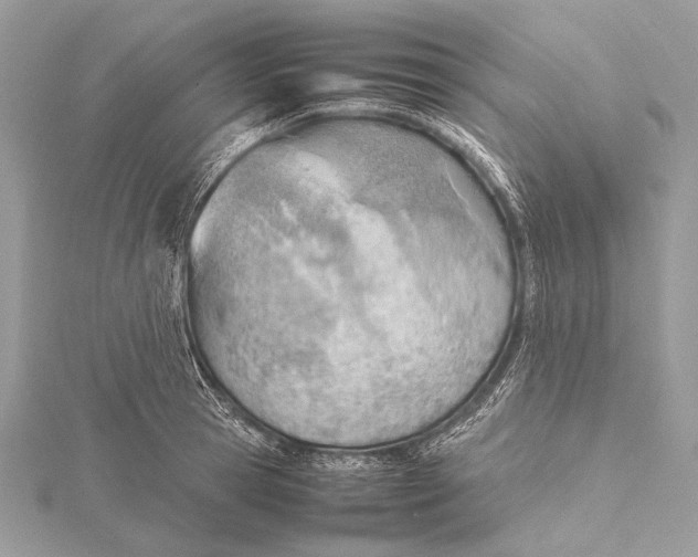 X0000115780945200912041448