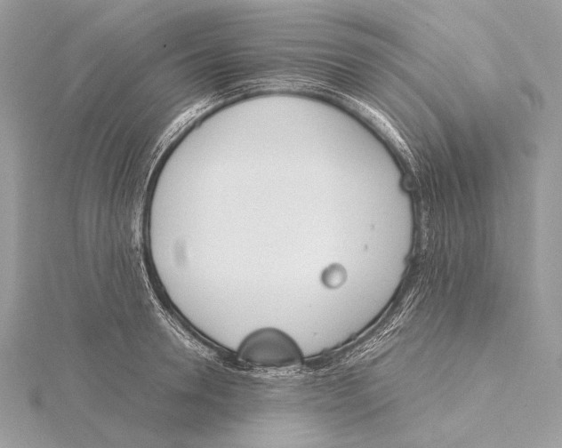 X0000115780946200912041448