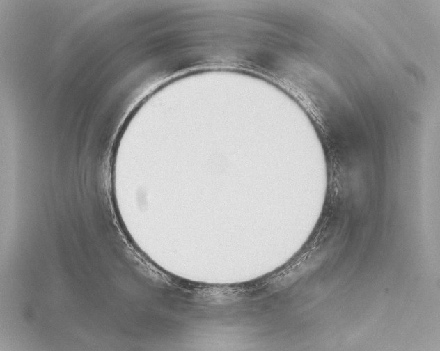 X0000115780950200912041448