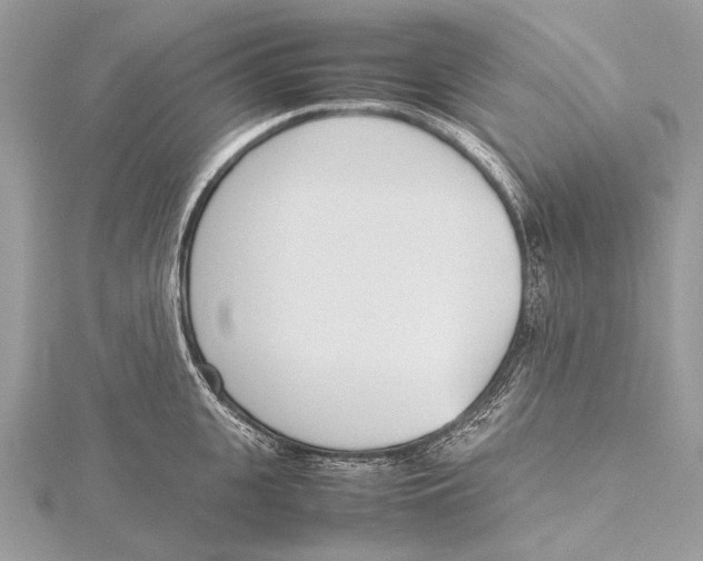 X0000115780951200912041448