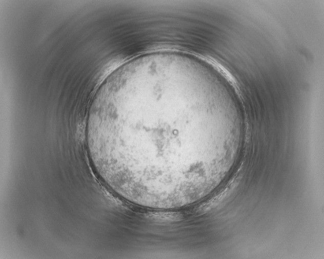 X0000115780953200912041448