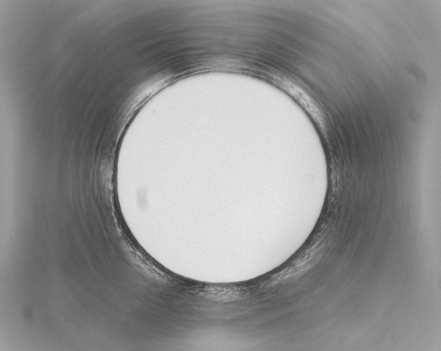 X0000115780954200912041449