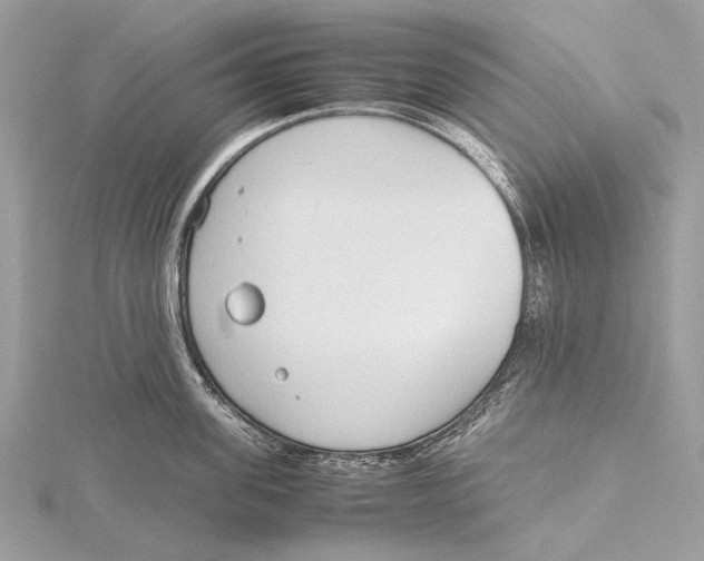 X0000115780955200912041449