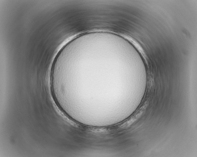 X0000115780957200912041449