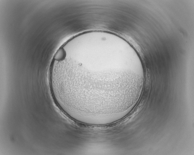 X0000115780958200912041449