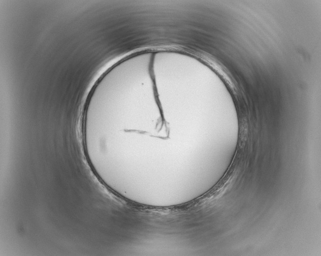 X0000115780959200912041449