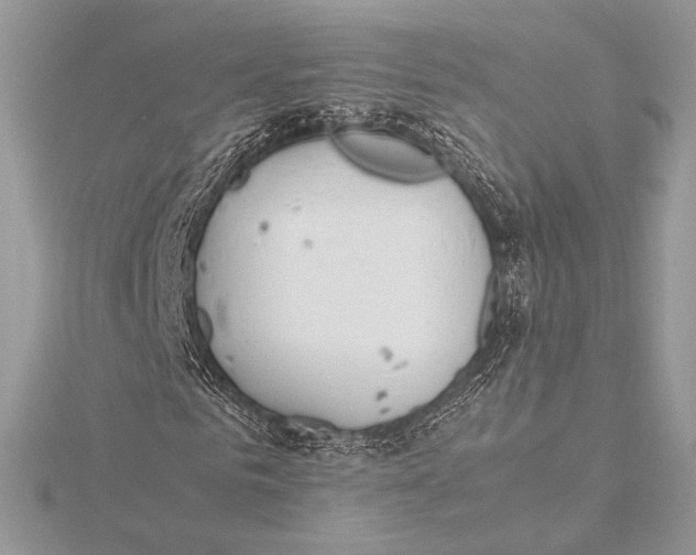 X0000115780961200912041448