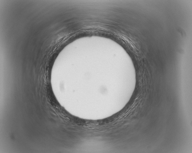 X0000115780965200912041448