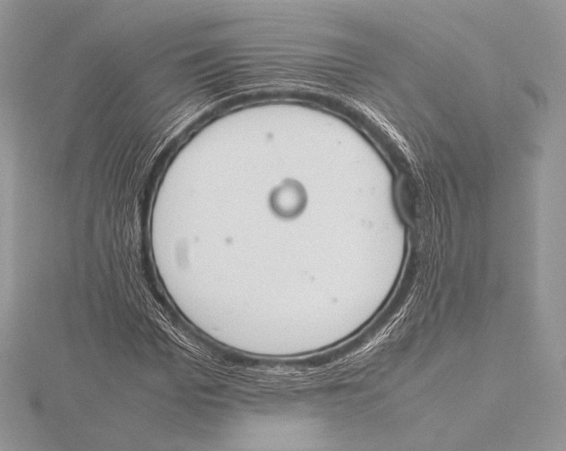 X0000115780969200912041448