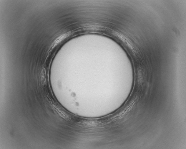 X0000115780970200912041448