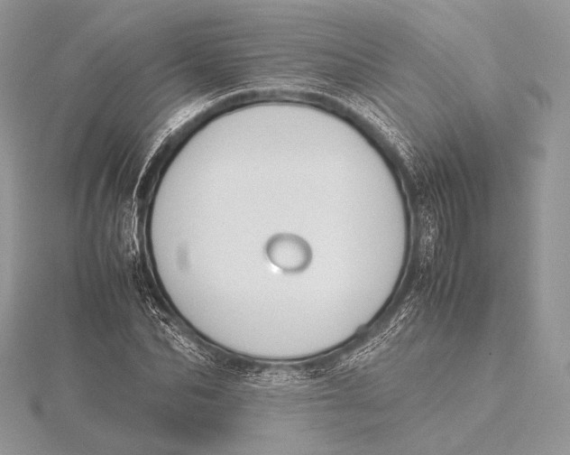 X0000115780974200912041448