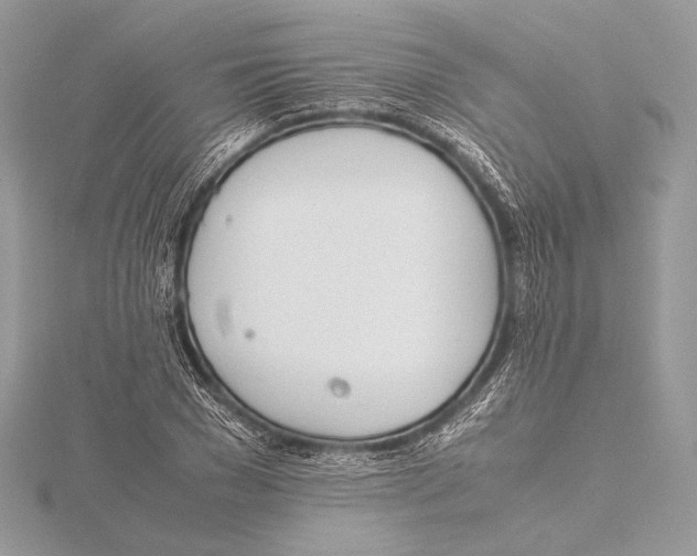 X0000115780977200912041448