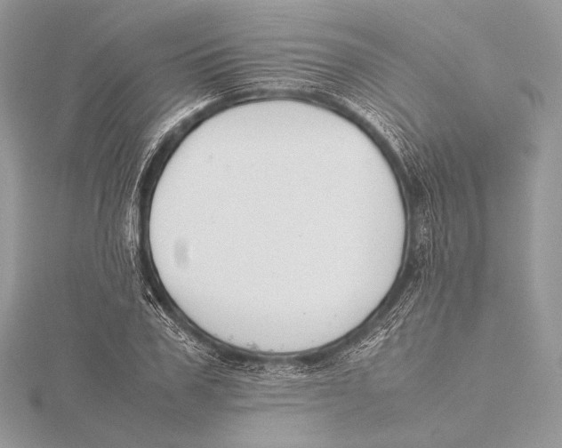 X0000115780979200912041448